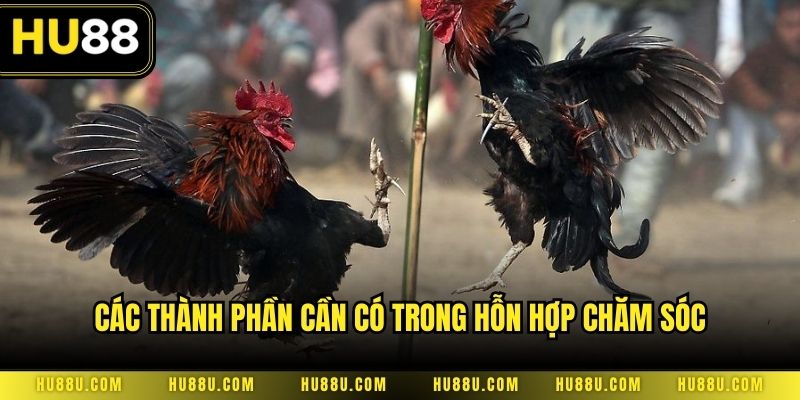 Các thành phần cần có trong hỗn hợp chăm sóc
