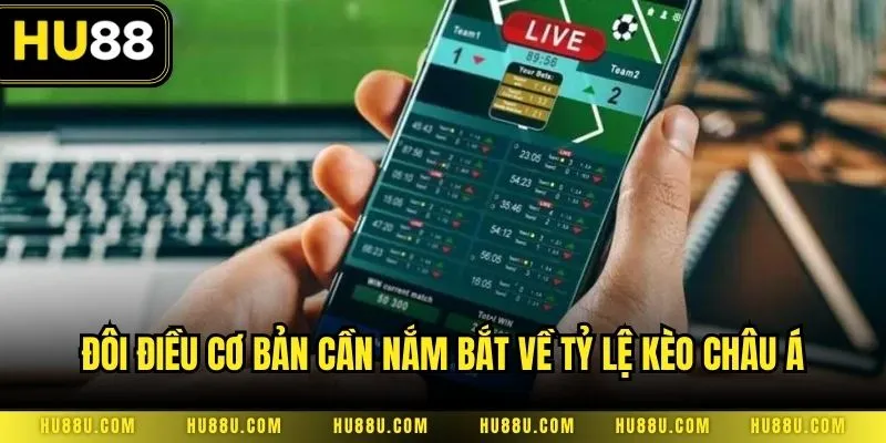 Đôi điều cơ bản cần nắm bắt về tỷ lệ kèo châu Á trong túc cầu