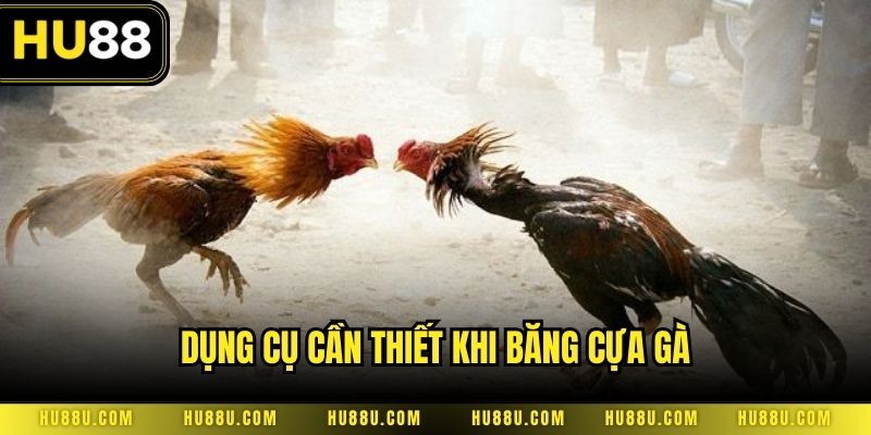 Dụng cụ cần thiết khi băng cựa gà