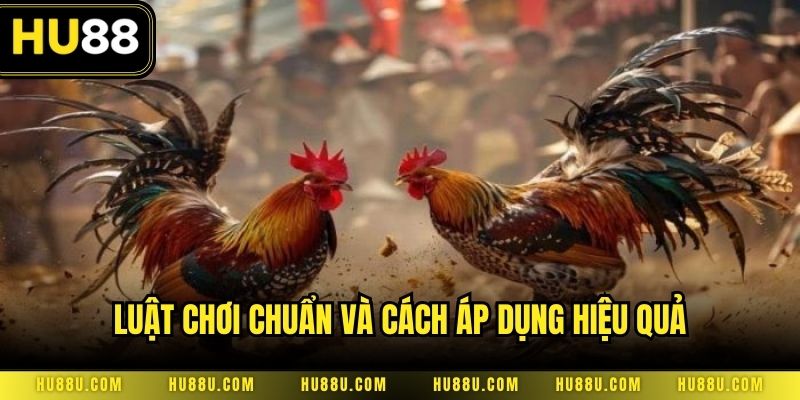 Luật chơi chuẩn và cách áp dụng hiệu quả