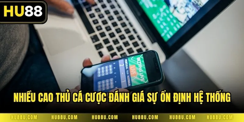 Nhiều cao thủ cá cược đánh giá sự ổn định hệ thống